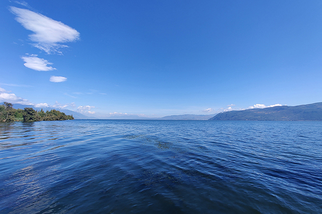 汽车衡称重系统组成